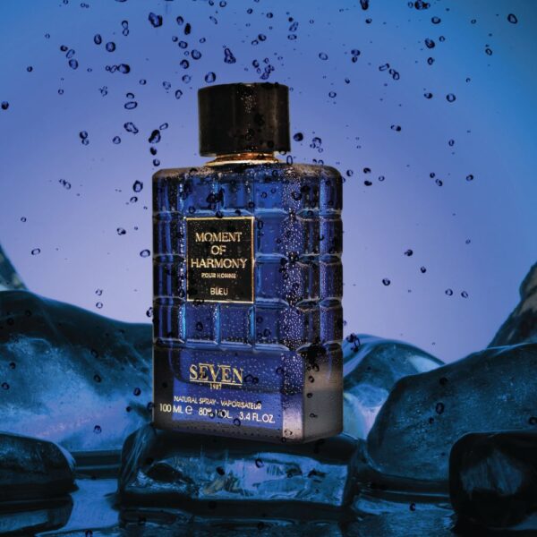Moment of Harmony - Image 2